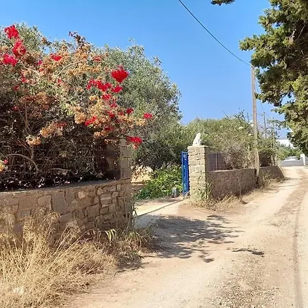 Blue And White Paros Private House Tatil Evi